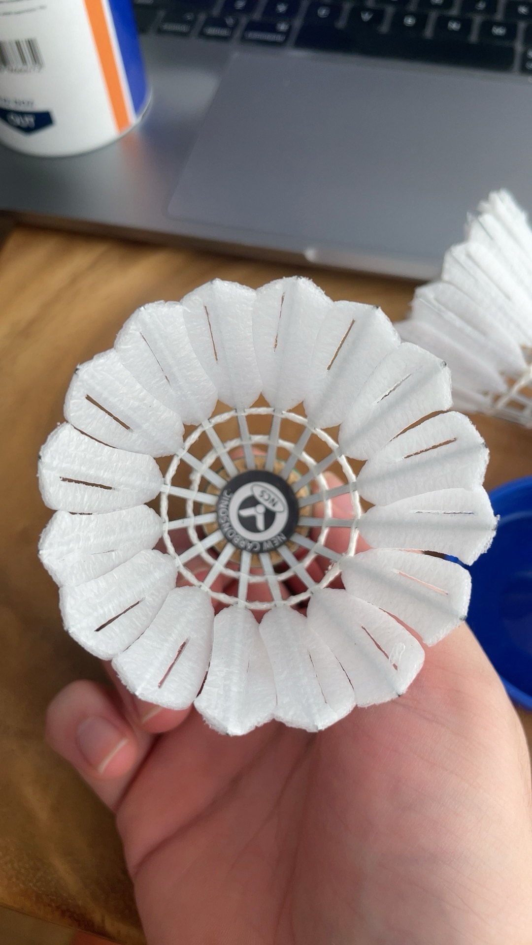 赛季夺冠热 赛季夺冠热